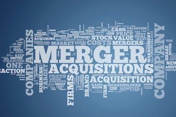 Stabilization of e-commerce mergers and acquisitions, adviser says